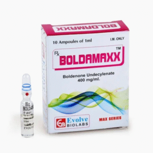 Boldamaxx